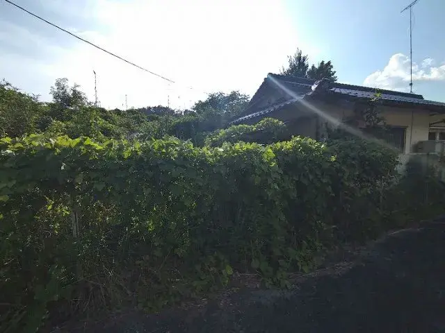 Недвижимость 4DK, город Hatsukaichi, префектура Hiroshima (4)