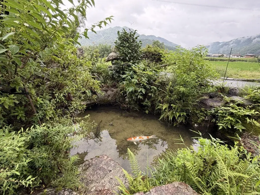 5DK 山口市 山口县 (11)