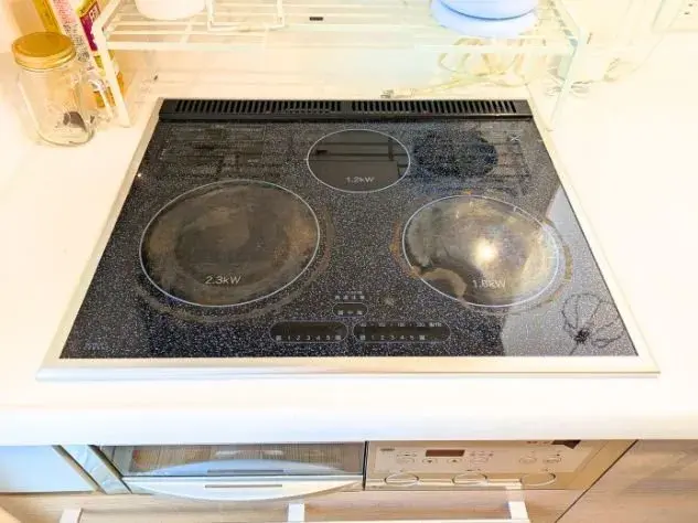 2LDK Property Matsuyama City Ehime Prefecture (12)
