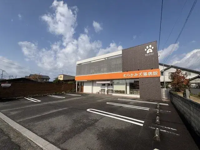 6SLDK Property Matsuyama City Ehime Prefecture (18)