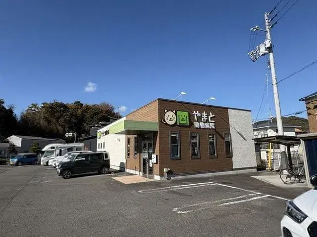 4LDK Ciudad de Matsuyama Prefectura de Ehime (27)