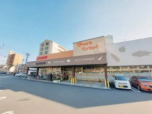3LDK Matsuyama City Ehime Prefecture (21)