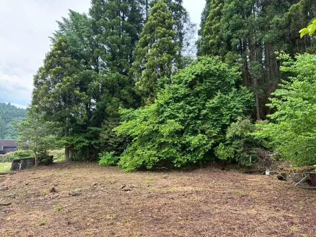 8DK Property Saiki City Oita Prefecture (28)