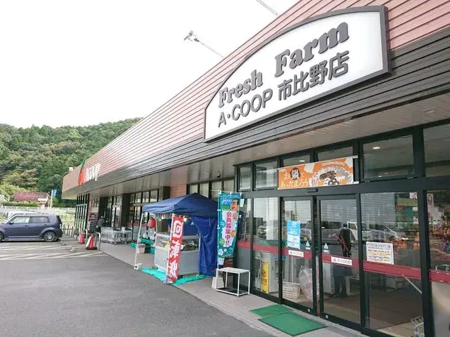 3LDK Property Satsumasendai City Kagoshima Prefecture (29)