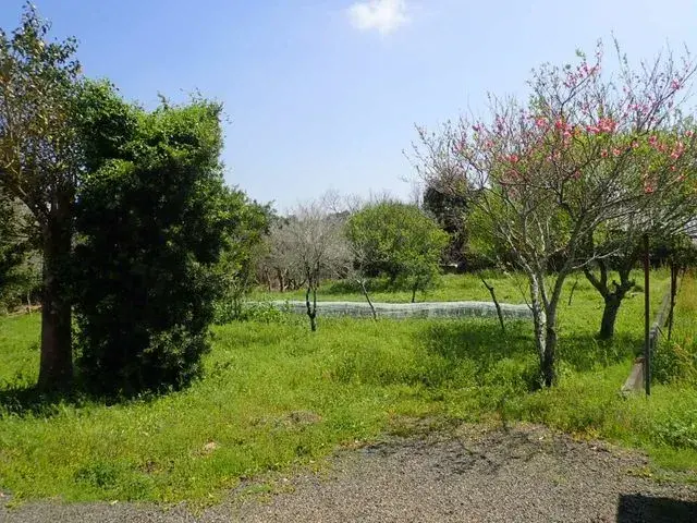 鹿児島県南九州市5DK物件 (25)