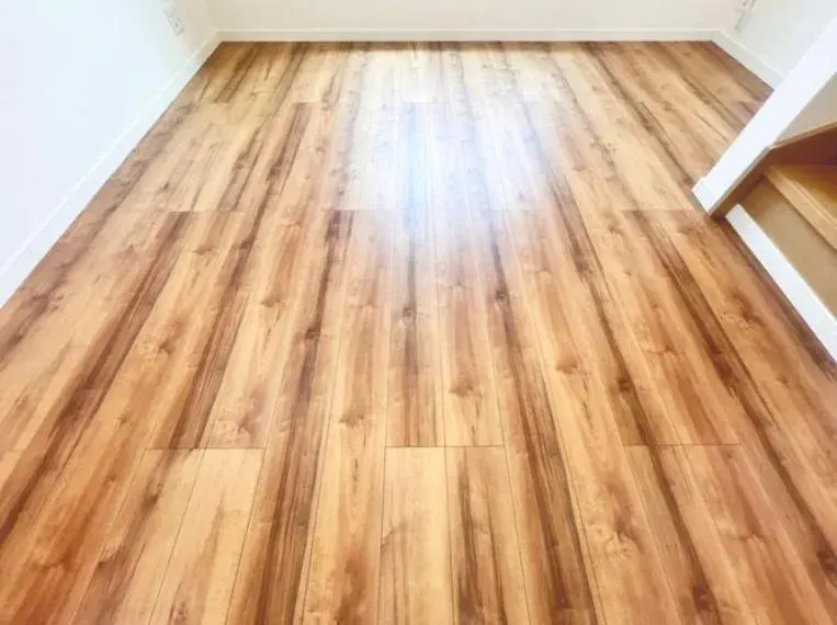 2SLDK Property Adachi Ward Tokyo (21)