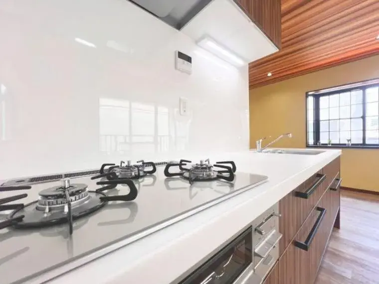 3LDK Property Edogawa Ward Tokyo (24)