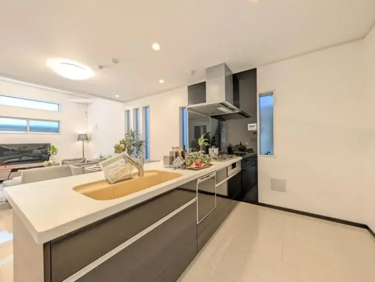 4LDK Property Edogawa Ward Tokyo (24)