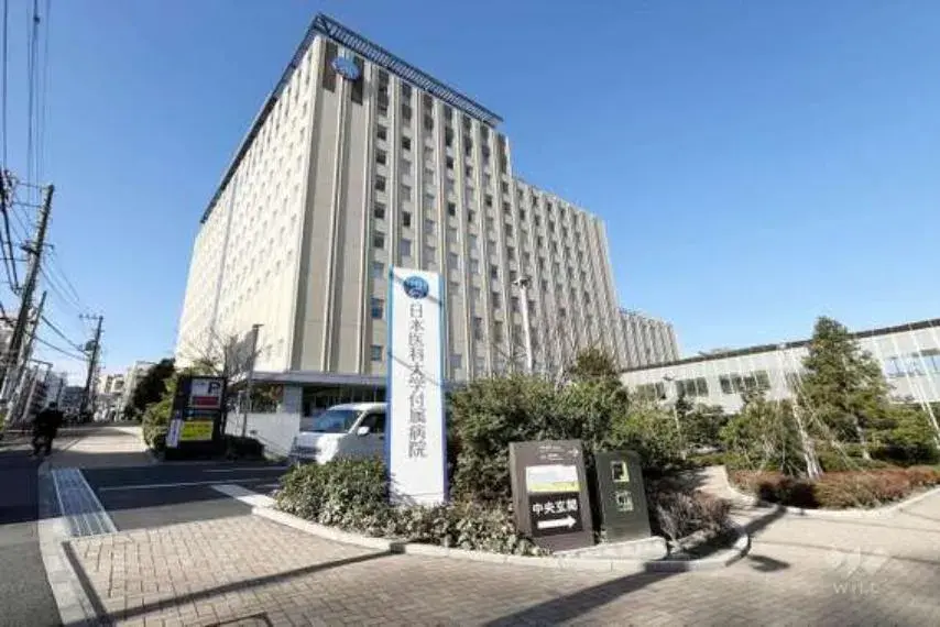 2LDK Property Taito-ku Tokyo (6)