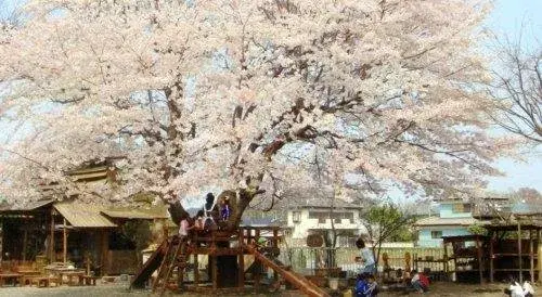 Akiya in Saitama