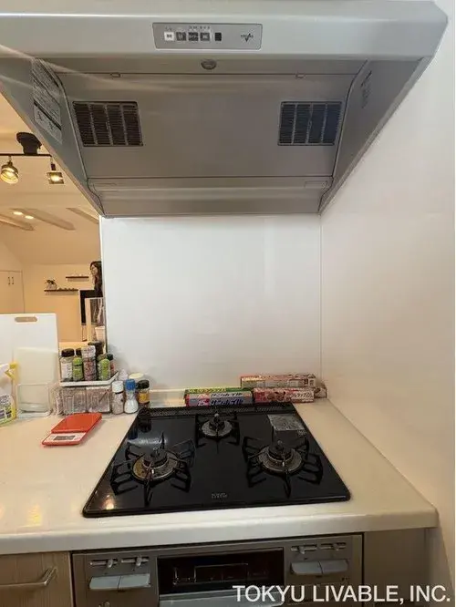 1LDK+S Property Suginami-ku Tokyo (13)