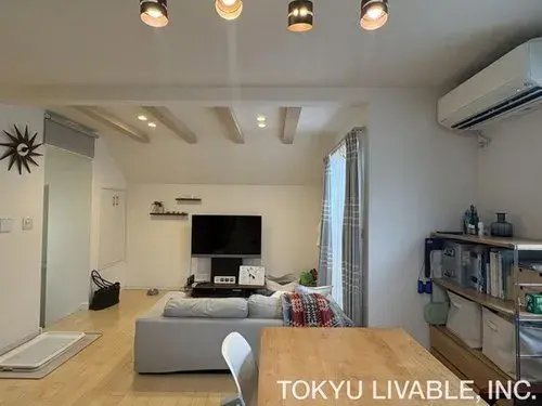 1LDK+S Property Suginami-ku Tokyo (6)