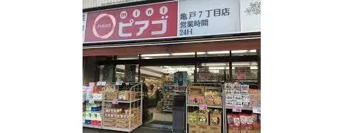 3LDK Koto-ku Tokyo (16)