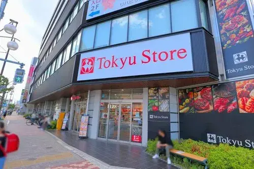 Недвижимость 5LDK+3S Ota Ward Tokyo (19)