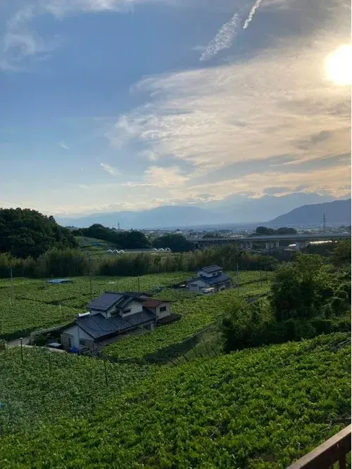 Propiedad 3DK+2S Ciudad de Koshu Prefectura de Yamanashi (10)