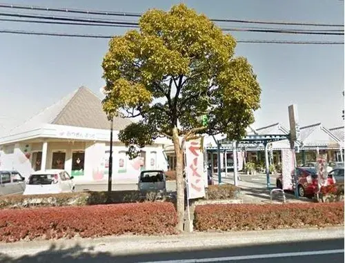 4DK 宫崎市 宫崎县 (20)