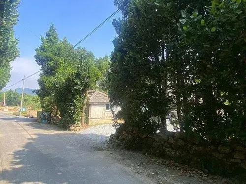 3K物件 国頭郡本部町 沖縄県 (12)
