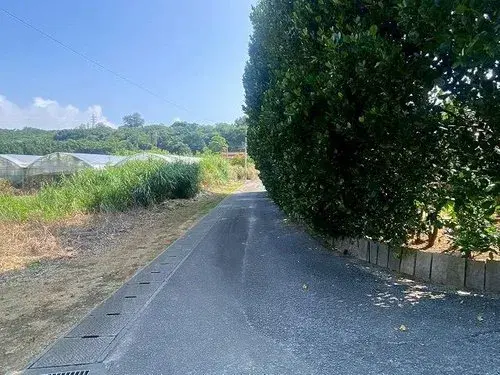 3K物件 国頭郡本部町 沖縄県 (13)