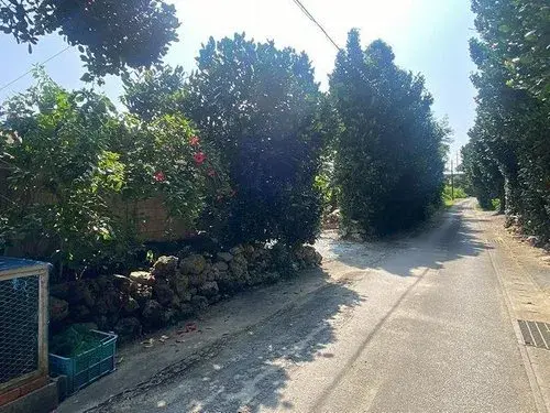 3K物件 国頭郡本部町 沖縄県 (14)