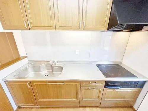 4LDK Property Sapporo City Hokkaido (12)