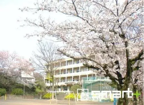 4LK+S Abiko City Chiba Prefecture (20)