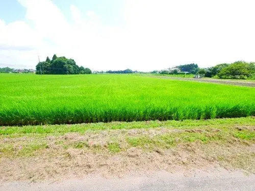 3DK Property Mobara City Chiba Prefecture (18)