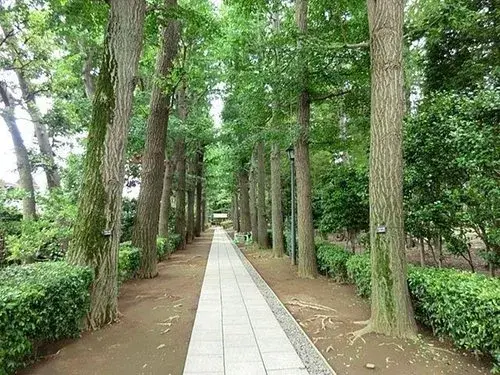 3LDK Property Suginami-ku Tokyo (14)