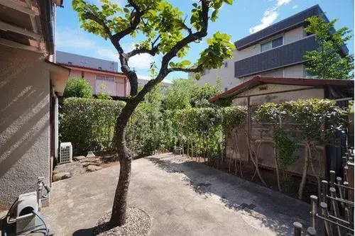 3LDK Property Suginami-ku Tokyo (4)