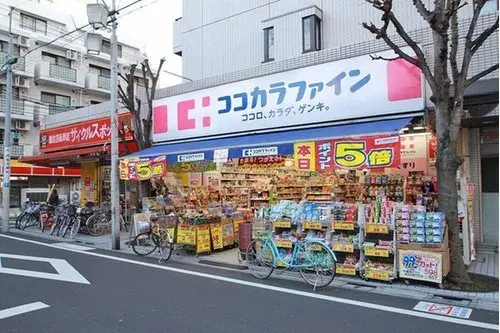 3LDK Property Suginami-ku Tokyo (9)