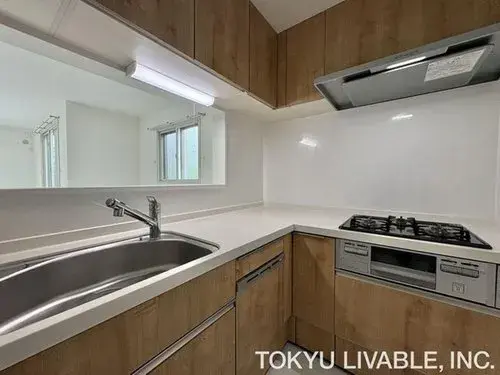 3LDK Недвижимость, район Sumida, Токио (14)