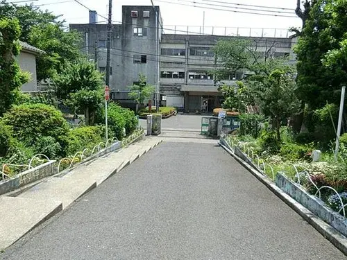 6К Город Tachikawa Метрополия Tokyo (13)