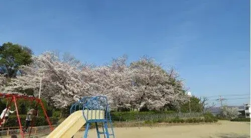 3DK物件 枚方市 大阪府 (5)
