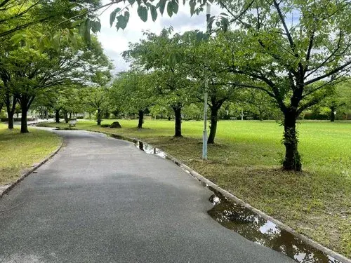大阪府大阪市3LDK房产 (23)