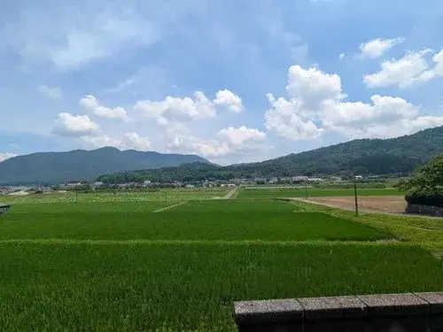 10DK房产 东广岛市 广岛县 (19)