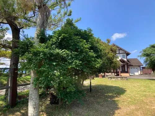 3LDK 读谷村 冲绳县 (5)
