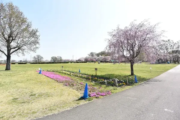 4SLDK物件 狭山市 埼玉県 (28)