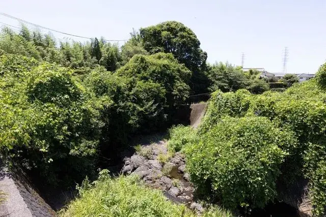 7LDK 三島市 静岡県 (26)
