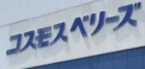 3LDK Toyota City Aichi Prefecture (22)