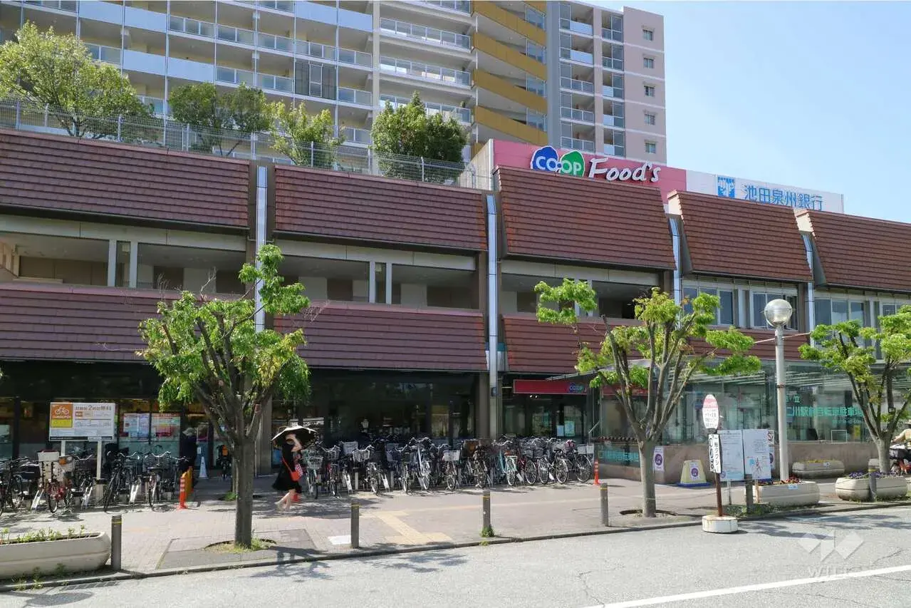 5LDK Property Takarazuka City Hyogo Prefecture (10)