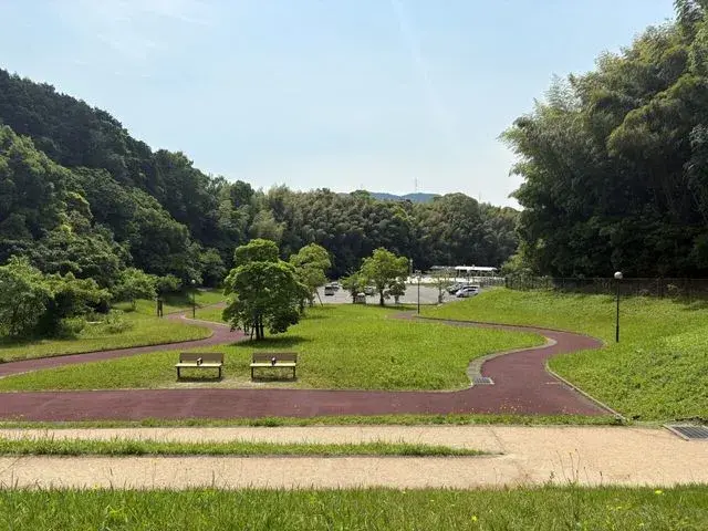 Slide 25