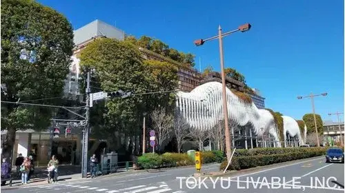 3LDK Setagaya Ward Tokyo (18)