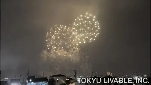 3LDK Setagaya Ward Tokyo (9)