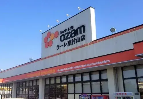 3LDK+S Property Higashimurayama City Tokyo (10)