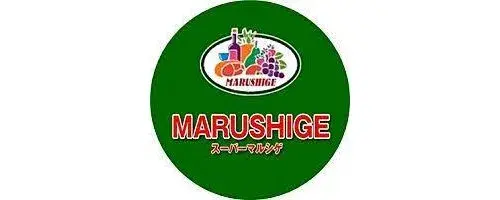 4DK Property Neyagawa City Osaka Prefecture (17)