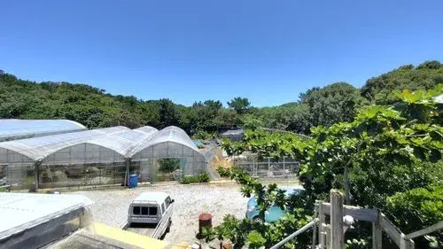 Propiedad 1LDK en la Ciudad de Nago, Prefectura de Okinawa (14)