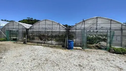 Propiedad 1LDK en la Ciudad de Nago, Prefectura de Okinawa (4)