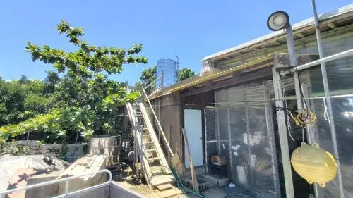 Propiedad 1LDK en la Ciudad de Nago, Prefectura de Okinawa (5)