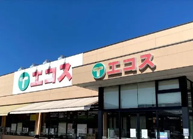 4LDK Property Hachioji City Tokyo (20)