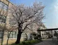 2LDK Property Kyoto City Kyoto Prefecture (8)