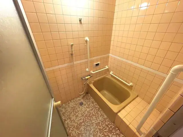 5SDK Property Hirakata City Osaka Prefecture (10)